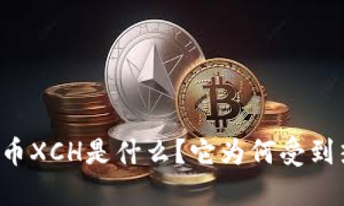 虚拟币XCH是什么？它为何受到热议？