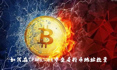 如何在TPWallet中查看持币地址数量