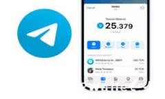   如何登录中本聪TPWallet：
